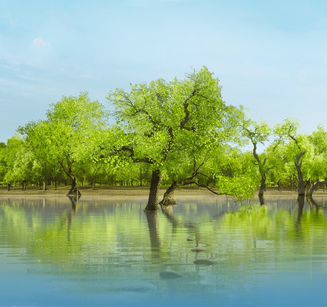 程响歌曲 /《可能》