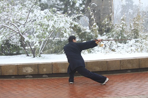 再演一花还一剑